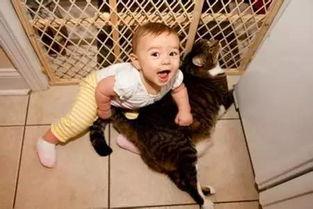 小男孩 在线观看,在线观看,探寻成长与梦想的奇幻之旅 第1张 小男孩 在线观看,在线观看,探寻成长与梦想的奇幻之旅 第1张