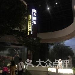 泰州博物馆爆料事件视频,揭秘背后真相与争议